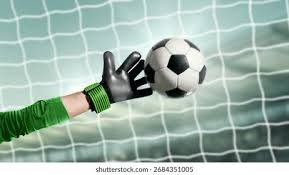 锁定米兰冬残奥资格！中国队第四次夺得轮椅冰壶世锦赛冠军