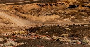 概率优势如何慢慢累积（概率优势如何日积月累）